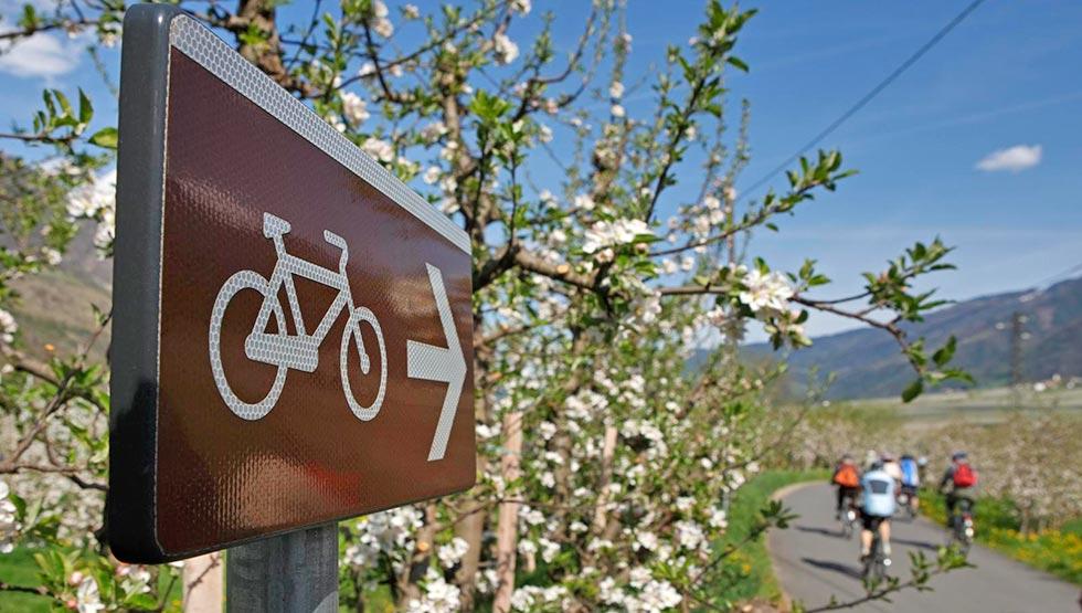 Fahrradwege im Meraner Land und im Vinschgau