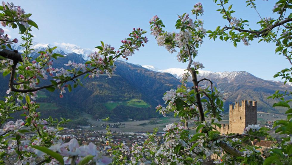 Plaus presso Naturno nella regione turistica Merano & Dintorni