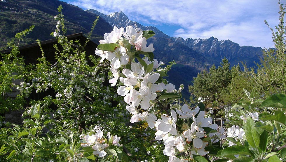 Freizeitmöglichkeiten in Plaus und Naturns im Meraner Land