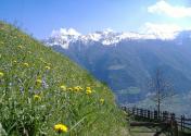 Wanderweg Unterstell Pirchhof